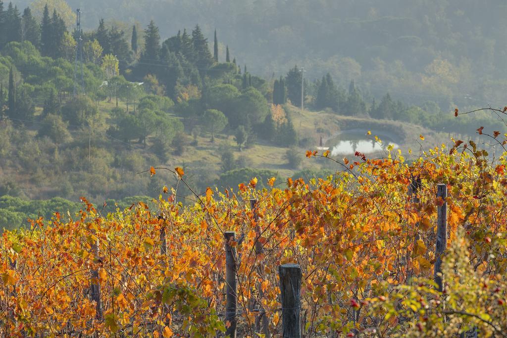 Agriturismo La Presura 스트라다 외부 사진